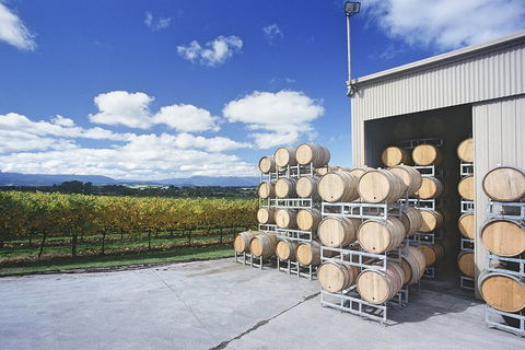 Yarra Valley Private Car Winery Tour And Chocolate.1-7 Passengers One Car Price - Accommodation Brisbane 2