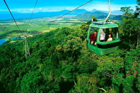 4-Day Cairns Ultimate Combo: Daintree Rainforest, Reef, Kuranda & Paronella Park - Accommodation Brisbane 1