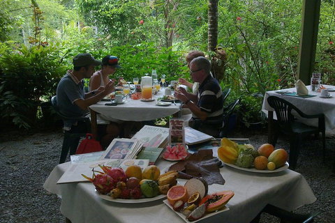 4-Day Cairns Ultimate Combo: Daintree Rainforest, Reef, Kuranda & Paronella Park - Accommodation Brisbane 4