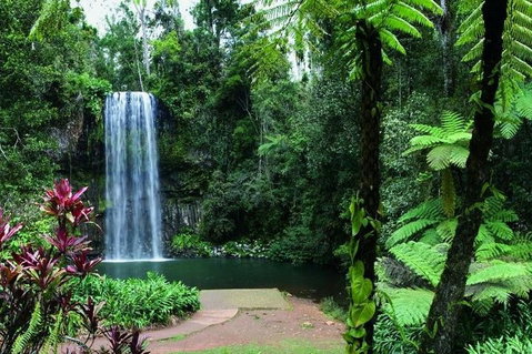 Paronella Park And Millaa Millaa Falls Full-day Tour From Cairns - Accommodation Brisbane 3