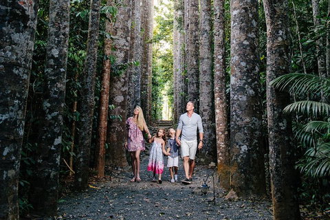 Paronella Park And Millaa Millaa Falls Full-day Tour From Cairns - Accommodation Brisbane 5