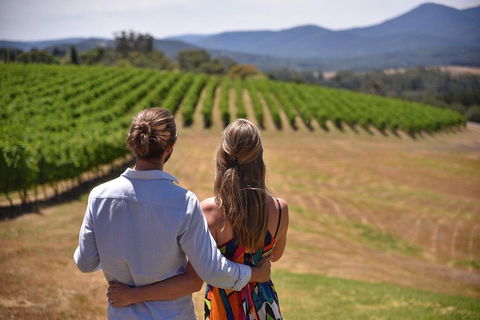 Yarra Valley Wine, Bubbles And Gin Tour! - Accommodation Brisbane 4