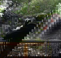 Mt Field and Styx Valley Photography Tour - Accommodation Brisbane