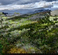 3-Day Tour to the Falls Mountains Lake  More of West Coast Tasmania - Accommodation Brisbane