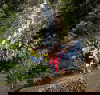 5-Day Lap of Tasmania Tour from Hobart flexible ticket - Accommodation Brisbane