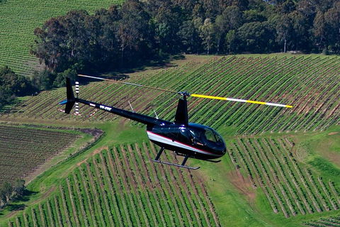 Hunter Valley Wine Country Helicopter Flight From Cessnock - Accommodation Brisbane 3