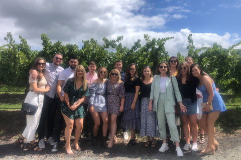 Yarra Valley Public Winery Tours - Accommodation Brisbane 3