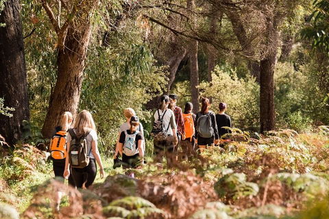 Half-Day Yanchep Ghost House Wilderness Guided Hike Tour - Accommodation Brisbane 0