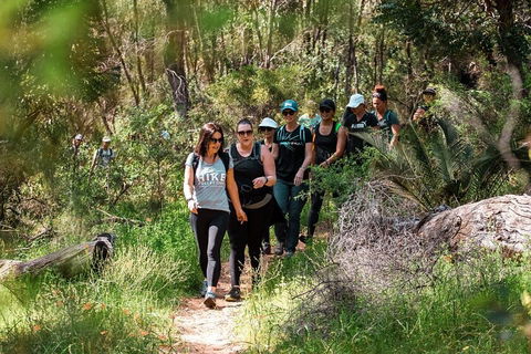 Half-Day Yanchep Ghost House Wilderness Guided Hike Tour - Accommodation Brisbane 3