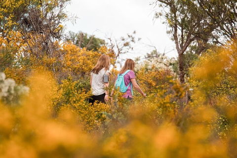 Half-Day Yanchep Ghost House Wilderness Guided Hike Tour - Accommodation Brisbane 4