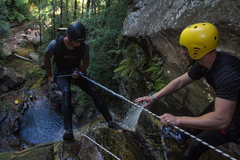Blue Mountains Empress Canyon Adventure From Wentworth Falls - Accommodation Brisbane 2