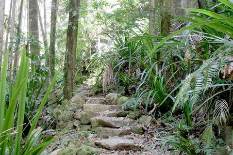 Byron Bay Combo: Minyon Falls And Hinterland Day Trip And Learn To Surf At Byron Bay - Accommodation Brisbane 3