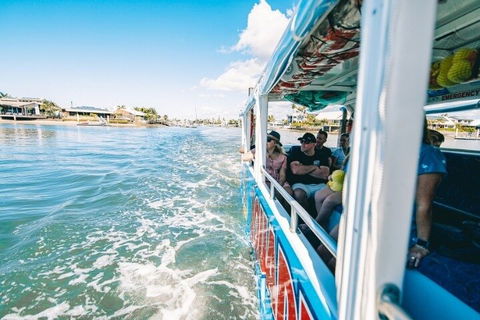 Aquaduck Sunshine Coast - Accommodation Brisbane 5