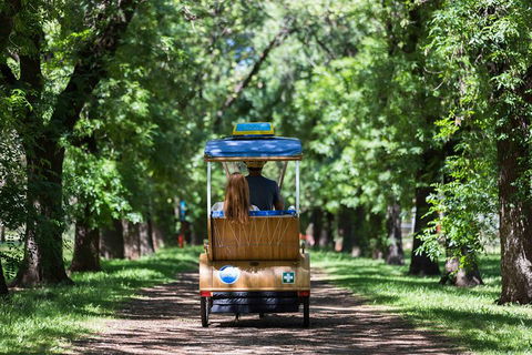 Adelaide 90-Minute Pedicab Tour: Scenic Green & River Experience - Accommodation Brisbane 2