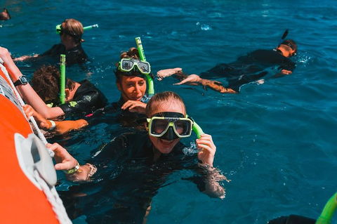 Whitehaven Beach And Hill Inlet Lookout Full-Day Snorkeling Cruise By High-Speed Catamaran - Accommodation Brisbane 3