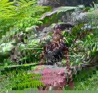 Full-Day Guided Hinterland Adventure Tour in Queensland - Accommodation Brisbane