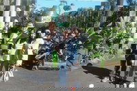 Tropical Fruit World with Wildlife Boat Cruise from Gold Coast, Surfers Paradise