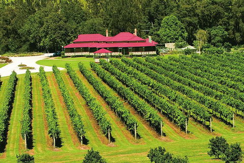 O'Reilly's & Lamington National Park From Brisbane - Accommodation Brisbane 2