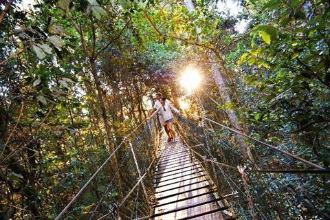 O'Reilly's & Lamington National Park From Brisbane - Accommodation Brisbane 5
