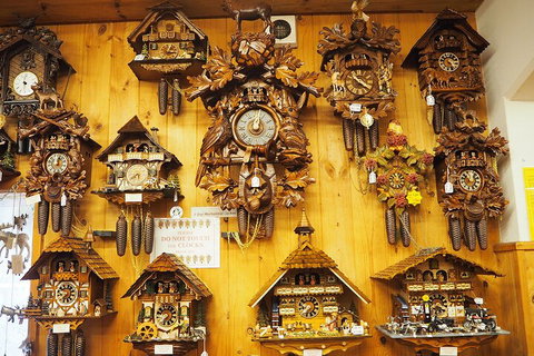 O'Reilly's & Lamington National Park From Gold Coast - Accommodation Brisbane 5