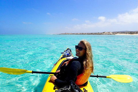 Lagoon Explorer - Ningaloo Reef Full-Day Kayaking And Snorkeling Adventure - Accommodation Brisbane 1