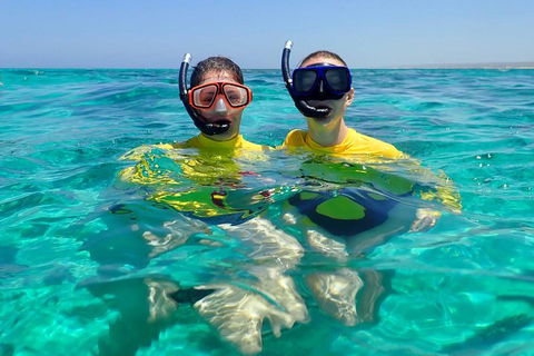 Lagoon Explorer - Ningaloo Reef Full-Day Kayaking And Snorkeling Adventure - Accommodation Brisbane 4