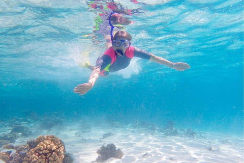 Lagoon Explorer - Ningaloo Reef Full-Day Kayaking And Snorkeling Adventure - Accommodation Brisbane 5