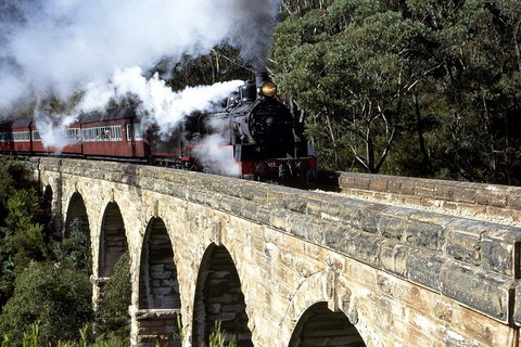 [Private Tour] Healesville Sanctuary Wildlife & Puffing Billy Steam Train - Accommodation Brisbane 2