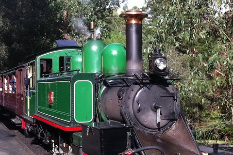 [Private Tour] Healesville Sanctuary Wildlife & Puffing Billy Steam Train - Accommodation Brisbane 5