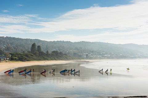LGBT+ Friendly 12-Hour Great Ocean Road Private Tour - Accommodation Brisbane 2