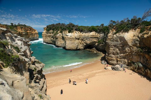 LGBT+ Friendly 12-Hour Great Ocean Road Private Tour - Accommodation Brisbane 5