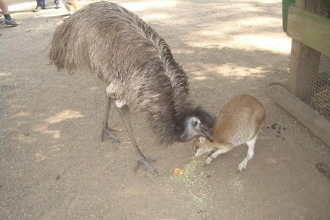 Blue Mountains PRIVATE Day Tour - Accommodation Brisbane 4