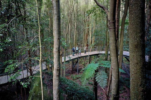 Blue Mountains PRIVATE Day Tour - Accommodation Brisbane 5