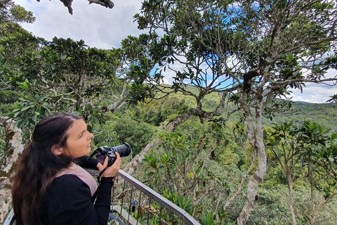 Lamington National Park, O'Reilly's & Vineyard Tour - Accommodation Brisbane 1