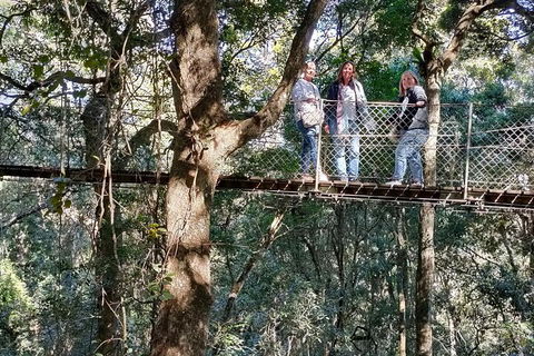 Lamington National Park, O'Reilly's & Vineyard Tour - Accommodation Brisbane 2