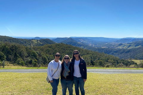Lamington National Park, O'Reilly's & Vineyard Tour - Accommodation Brisbane 3