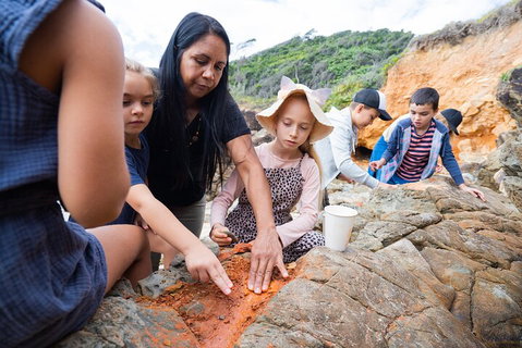 Cape Byron Aboriginal Tour - Accommodation Brisbane 1