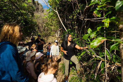 Cape Byron Aboriginal Tour - Accommodation Brisbane 4
