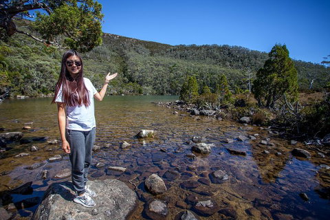 Mt Field National Park Active Day-Trip Including Bonorong And Mt Wellington - Accommodation Brisbane 4