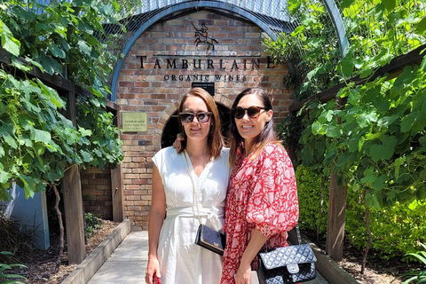 Hideaway Private Tours Hunter Valley- Indulgence Wine Tour (Full Day) - Accommodation Brisbane 5