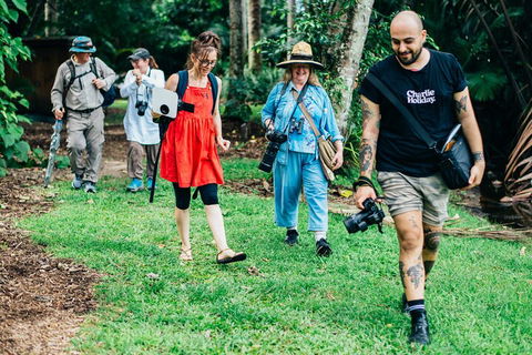 Let's Go Buggin & Let's Go Shroomin - Photography & Nature Walking Tours - Accommodation Brisbane 0