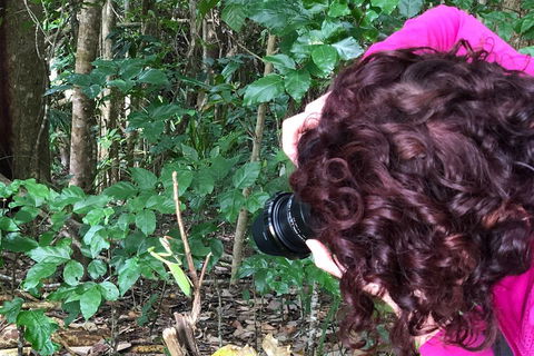 Let's Go Buggin & Let's Go Shroomin - Photography & Nature Walking Tours - Accommodation Brisbane 1