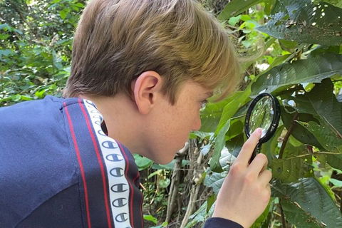 Let's Go Buggin & Let's Go Shroomin - Photography & Nature Walking Tours - Accommodation Brisbane 3