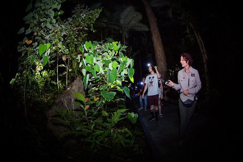 Let's Go Buggin & Let's Go Shroomin - Photography & Nature Walking Tours - Accommodation Brisbane 4