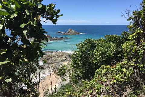 Behind The Bay - Explore Like A Local - Accommodation Brisbane 1