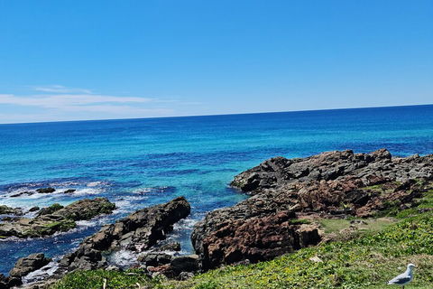 Private Custom Byron Bay Day Out - Accommodation Brisbane 4