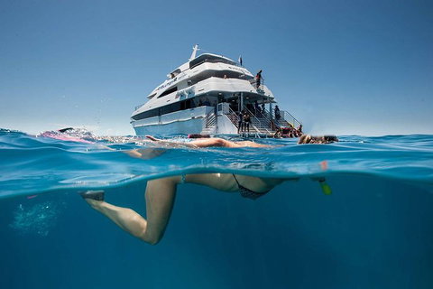 3 Day Great Barrier Reef, Daintree Rainforest And Outback Chillagoe Tour - Accommodation Brisbane 0
