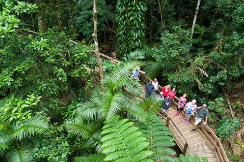 3 Day Great Barrier Reef, Daintree Rainforest And Outback Chillagoe Tour - Accommodation Brisbane 2