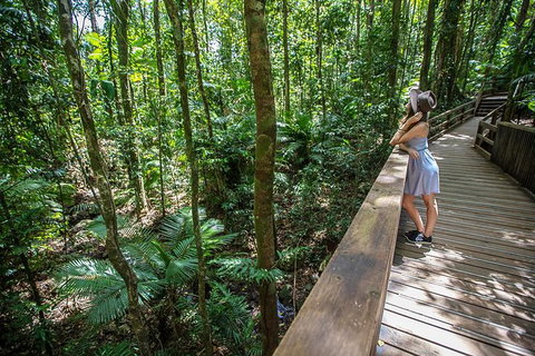 3 Day Great Barrier Reef, Daintree Rainforest And Outback Chillagoe Tour - Accommodation Brisbane 3