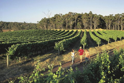 Margaret River, Caves, Wine And Cape Leeuwin Lighthouse Tour From Perth - Accommodation Brisbane 1